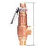 Bronze safety relief valve